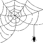 spider's web